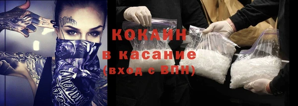гашик Арсеньев