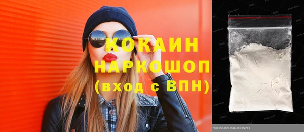 гашик Арсеньев