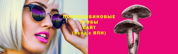 МДМА Новозыбков