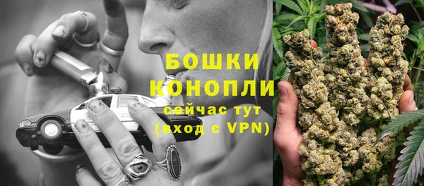 гашик Арсеньев