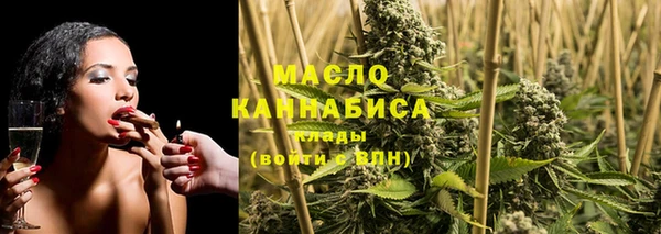 гашик Арсеньев
